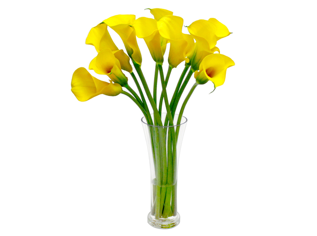 Florist Flower in Vase - Calla Lily Florist Vase Decor L1 - L3135148 Photo